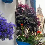 La Buganvilla De Santiago * Cordoue