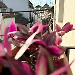 La Buganvilla De Santiago * Cordoue