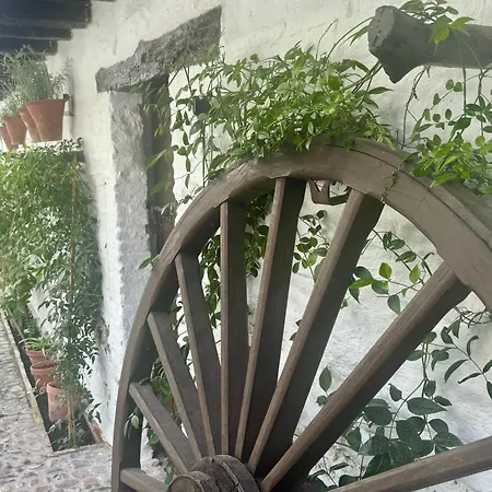 Апартаменти La Buganvilla De Santiago Кордова
