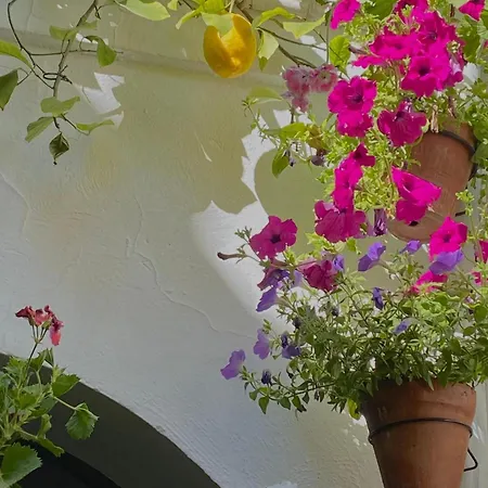 La Buganvilla De Santiago Lejlighed *