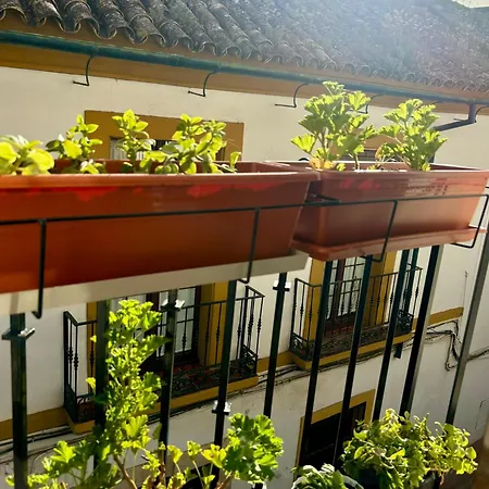 Lejlighed La Buganvilla De Santiago