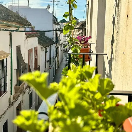 La Buganvilla De Santiago *