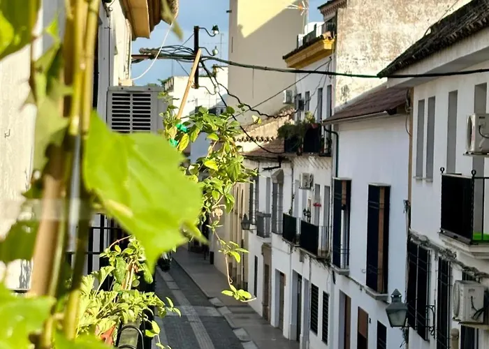 La Buganvilla De Santiago דירה *