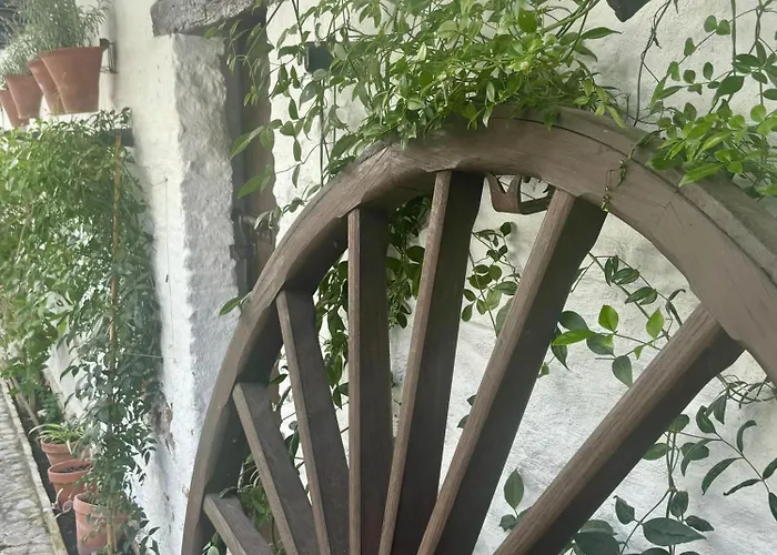 דירה La Buganvilla De Santiago קורדובה