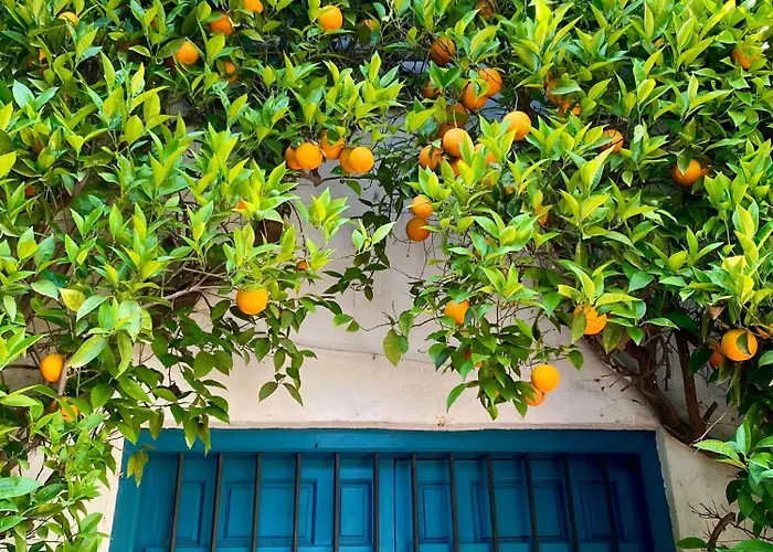 La Buganvilla De Santiago דירה