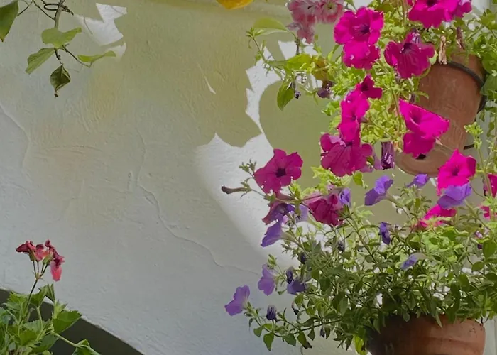 La Buganvilla De Santiago דירה *