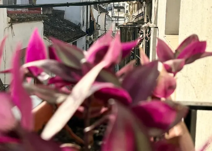 La Buganvilla De Santiago * Cordova