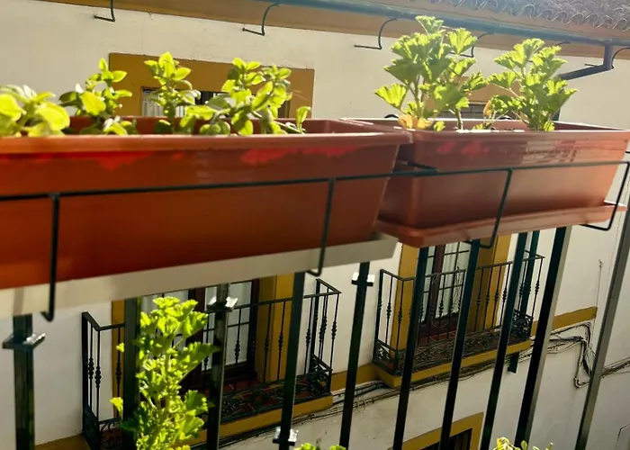 Appartamento La Buganvilla De Santiago