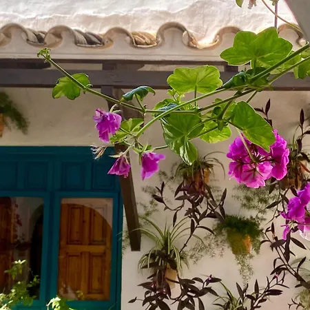 아파트 La Buganvilla De Santiago