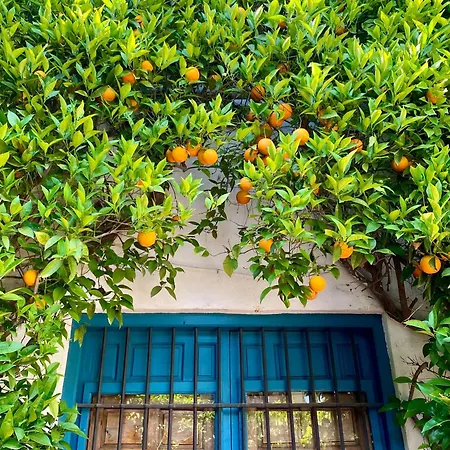 La Buganvilla De Santiago 아파트