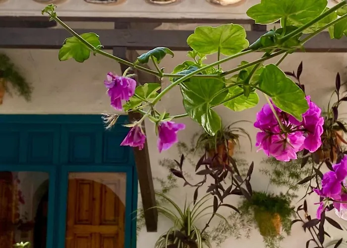 아파트 La Buganvilla De Santiago