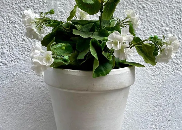 La Buganvilla De Santiago