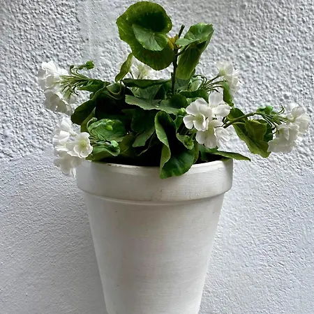 La Buganvilla De Santiago