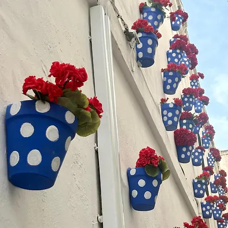 La Buganvilla De Santiago Apartment Córdoba