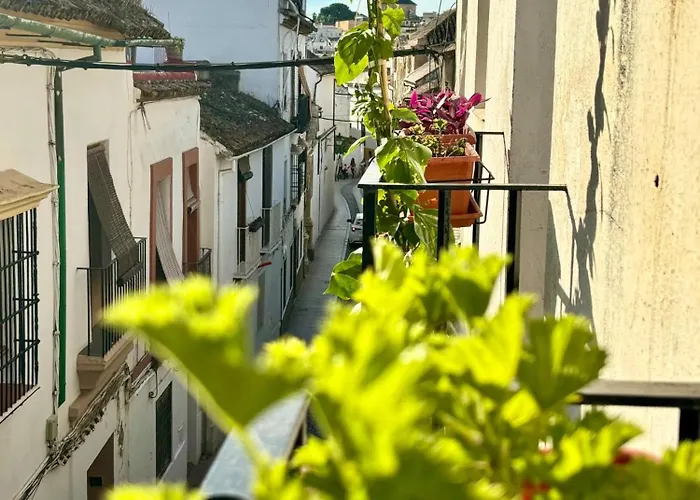 La Buganvilla De Santiago *